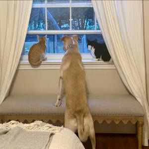 Meet your Posher, Nina